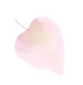 Illustration de feuille